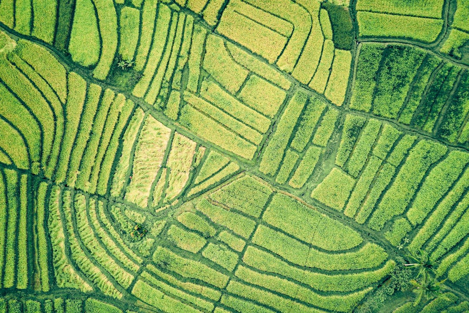 Fazenda em Unaí