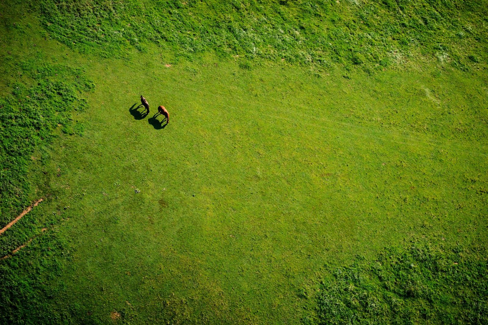 Fazenda em Palmas